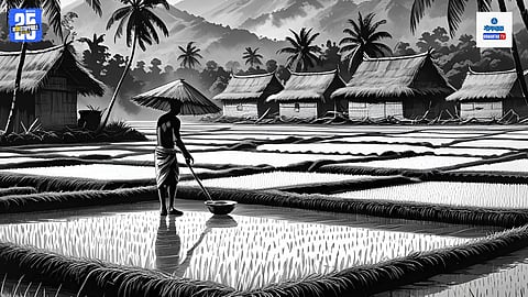Rice Farming History