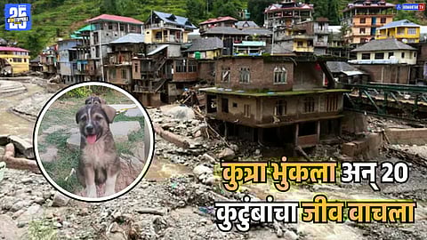 Himachal Mandi Landslide