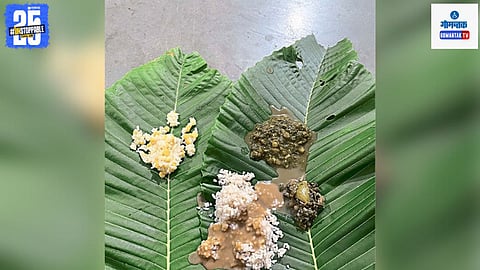 Goan leaf traditions