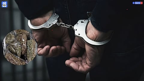 Goa Drug Case