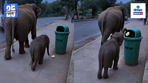 Viral Video