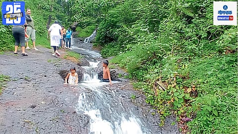 Bicholim Waterfall 