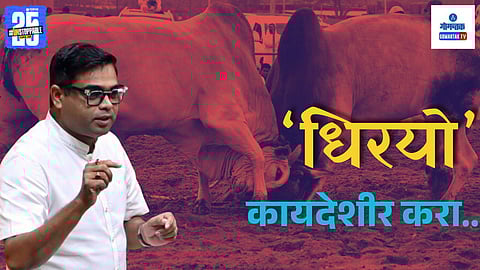 MGP MLA bull fight demand | Goa traditional bullfighting news