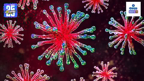 West Nile Virus Cases