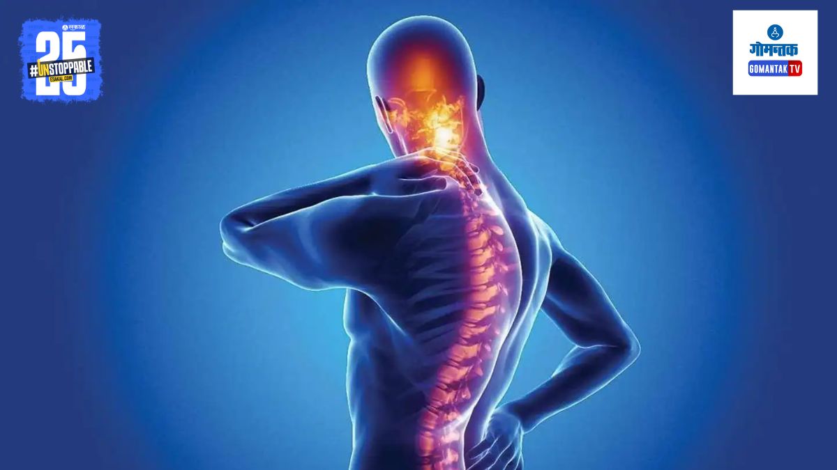 धूम्रपान करणाऱ्यांसाठी धोक्याची घंटा! स्लिप डिस्कचा वाढला धोका, संशोधनातून धक्कादायक खुलासा; जाणून घ्या लक्षणे आणि तज्ञांचा सल्ला