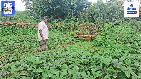 Goa Agriculture