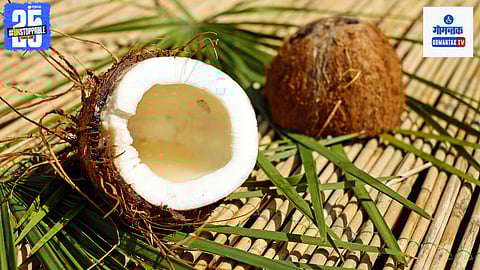 Coconut Significance
