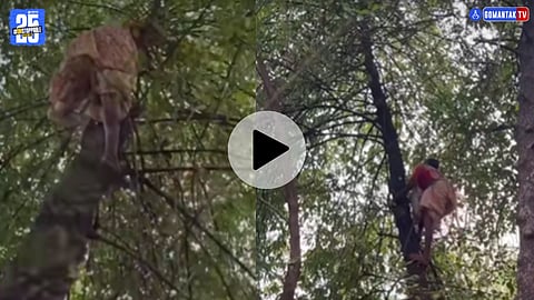 Konkan viral video