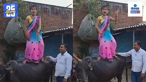 Girl Dancing On Buffalo Viral Video