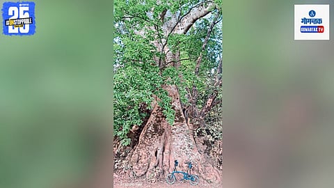 Mallikarjun temple Canacona
