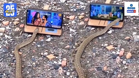 Bhojpuri Song Video