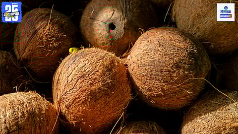 Goa Coconut