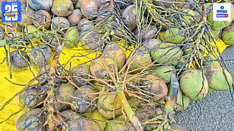 Goa Matoli Vendors