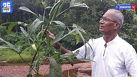 Khandola Tambsuli agriculture