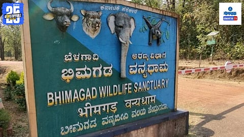 Kelghat ! Bhimgad Wildlife Sanctuary linking Goa to Karnataka