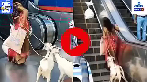 Social Media Viral Video