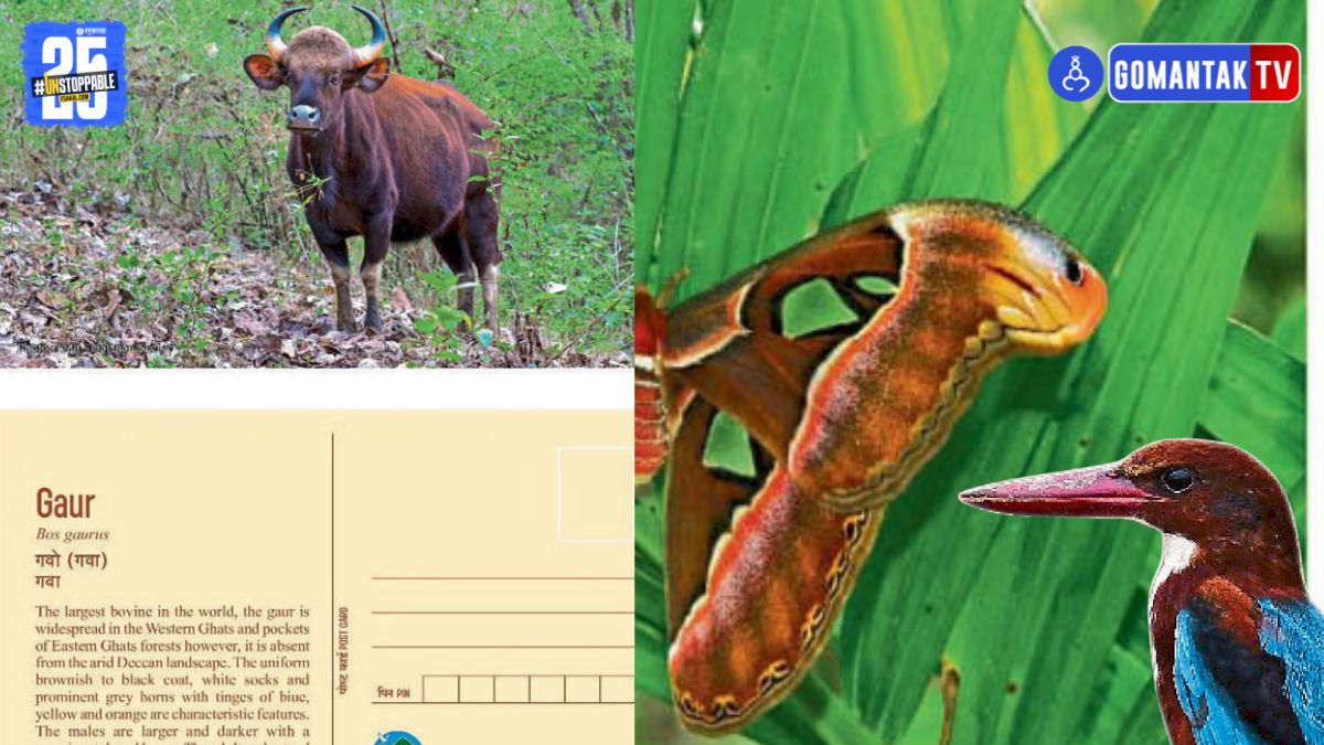 Goa Biodiversity Postcards