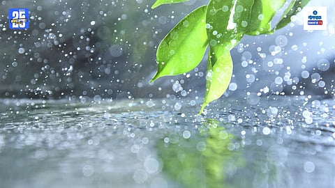 monsoon rainfall in Goa