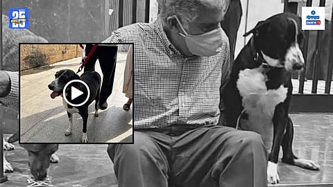 ratan tata dog video