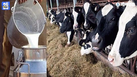 Department of Animal Husbandry