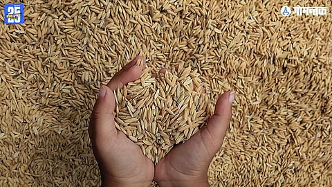 Goa food distribution scam, government ration irregularities Goa