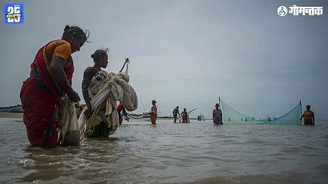 fisherwomen in india, traditional fish vending women