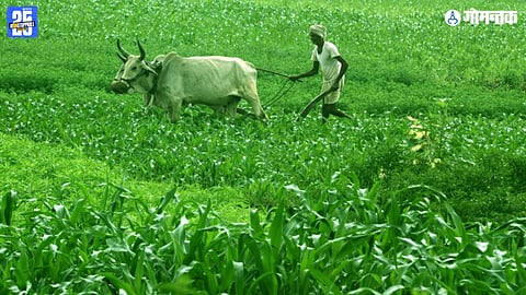 Goa Agriculture