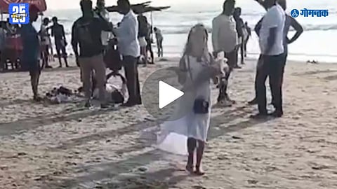 अल्पवयीन रशियन मुलींकडून फुलांची विक्री, पर्यटकांसोबत फोटोसाठी आग्रह; हरमल किनाऱ्यावरील Video Viral