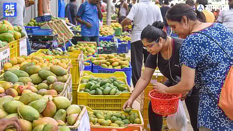 Karnataka Lalbagh Mango