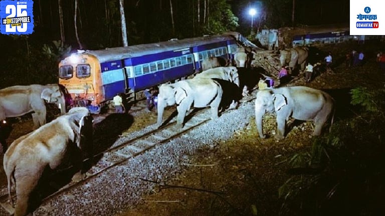 Rajdhani Express Assam Train Accident: हत्तीच्या कळपाला धडकली राजधानी ...