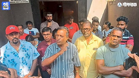 Goa Fish Safety Controversy