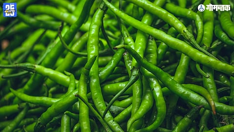 Chilli Business Fraud