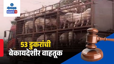 Karnataka to Goa Pig Transport