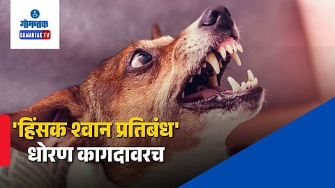 Goa Dangerous Dog Policy