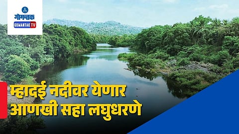 Mhadei river mini dams