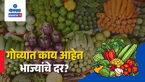 Goa Mango Vegetable Price