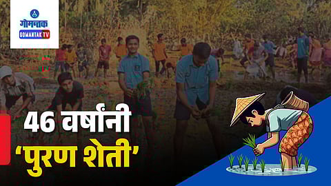 Traditional Puran Farming Revival Goa