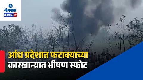 Andhra Pradesh Firecracker Factory Blast
