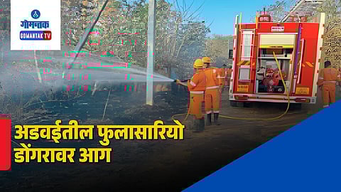 Valpoi Bhironda Forest Fire