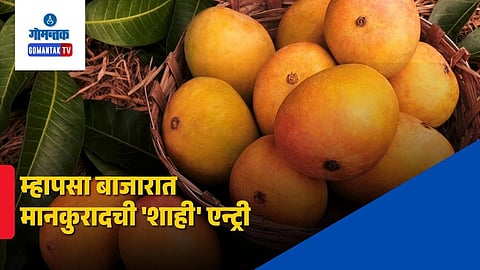 Mankurad Mango Price