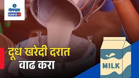 Goa Dairy Milk Price