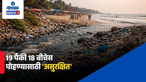 Goa beach pollution