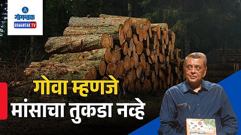 Justice Gautam Patel Goa comment