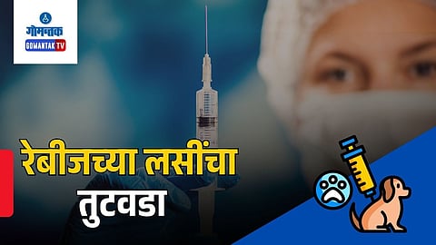 Goa Rabies Vaccine Shortage