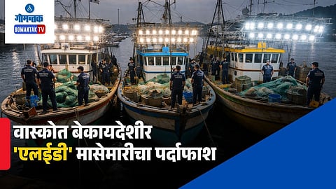 Vasco illegal LED fishing