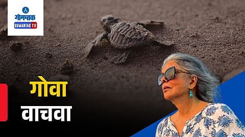 Zeenat Aman Goa Turtles