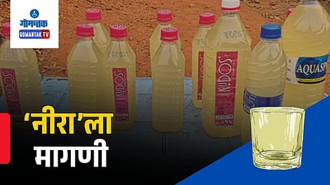 Cashew fruit nira juice