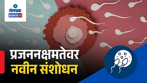 Male fertility research |  Sperm quality study