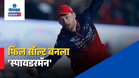 Phil Salt Superman Catch Video