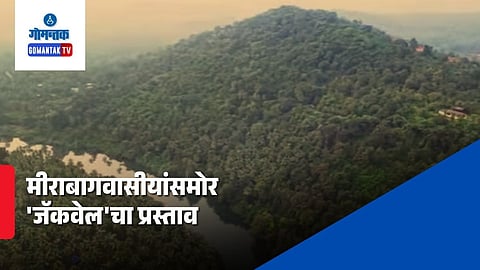 Mirabag Jackwell Project